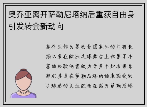 奥乔亚离开萨勒尼塔纳后重获自由身引发转会新动向
