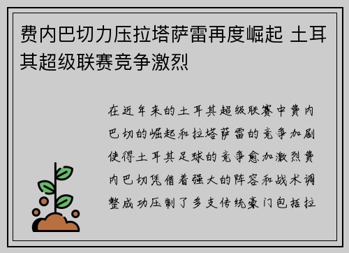 费内巴切力压拉塔萨雷再度崛起 土耳其超级联赛竞争激烈